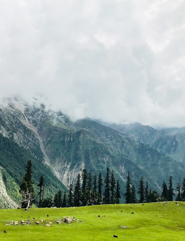 The meadows of Doodhpathri