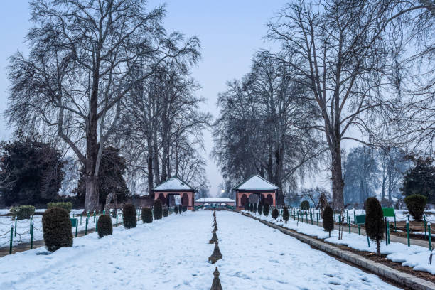 Mughal Garden Guided Tour photo 4