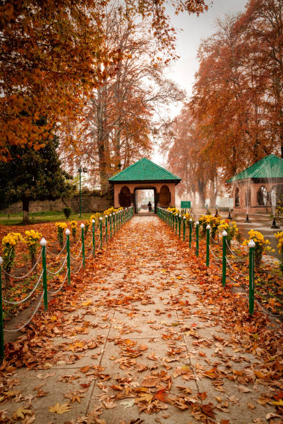Mughal Garden Guided Tour photo 3