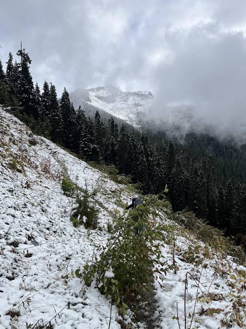 KASHMIR"S MAGICAL SURPRISE