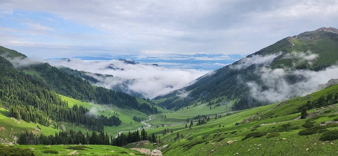 Dagwan Dachigam