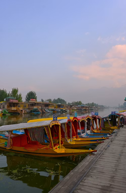 Srinagar photo 1