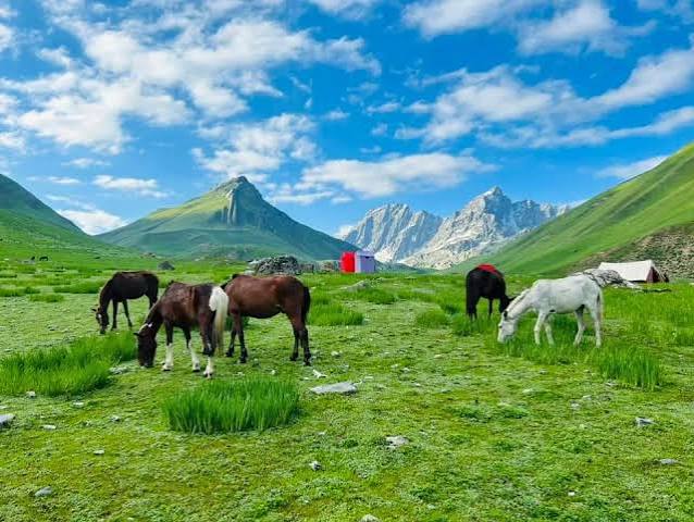 warwan velley, Kashmir