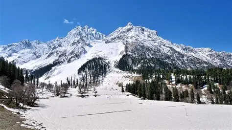 5 Nights / 6 Days Kashmir Honeymoon Package photo 3